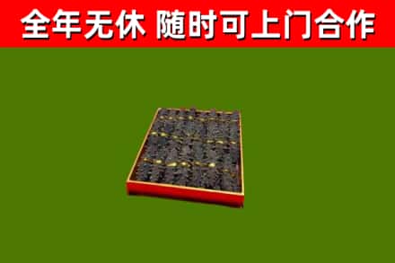 新抚区回收海参
